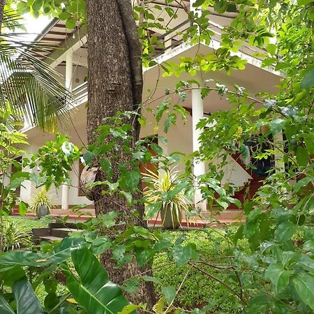 Yonara Green Rest Habarana Dış mekan fotoğraf