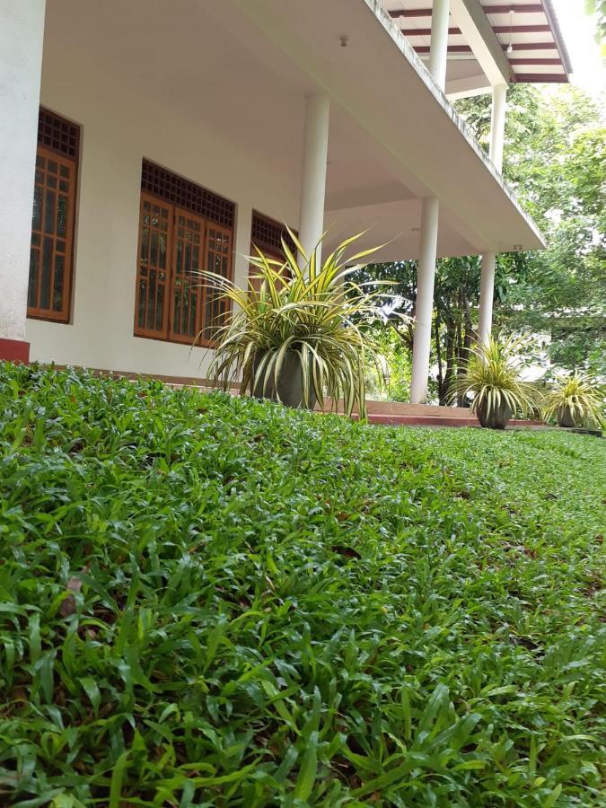 Yonara Green Rest Habarana Dış mekan fotoğraf