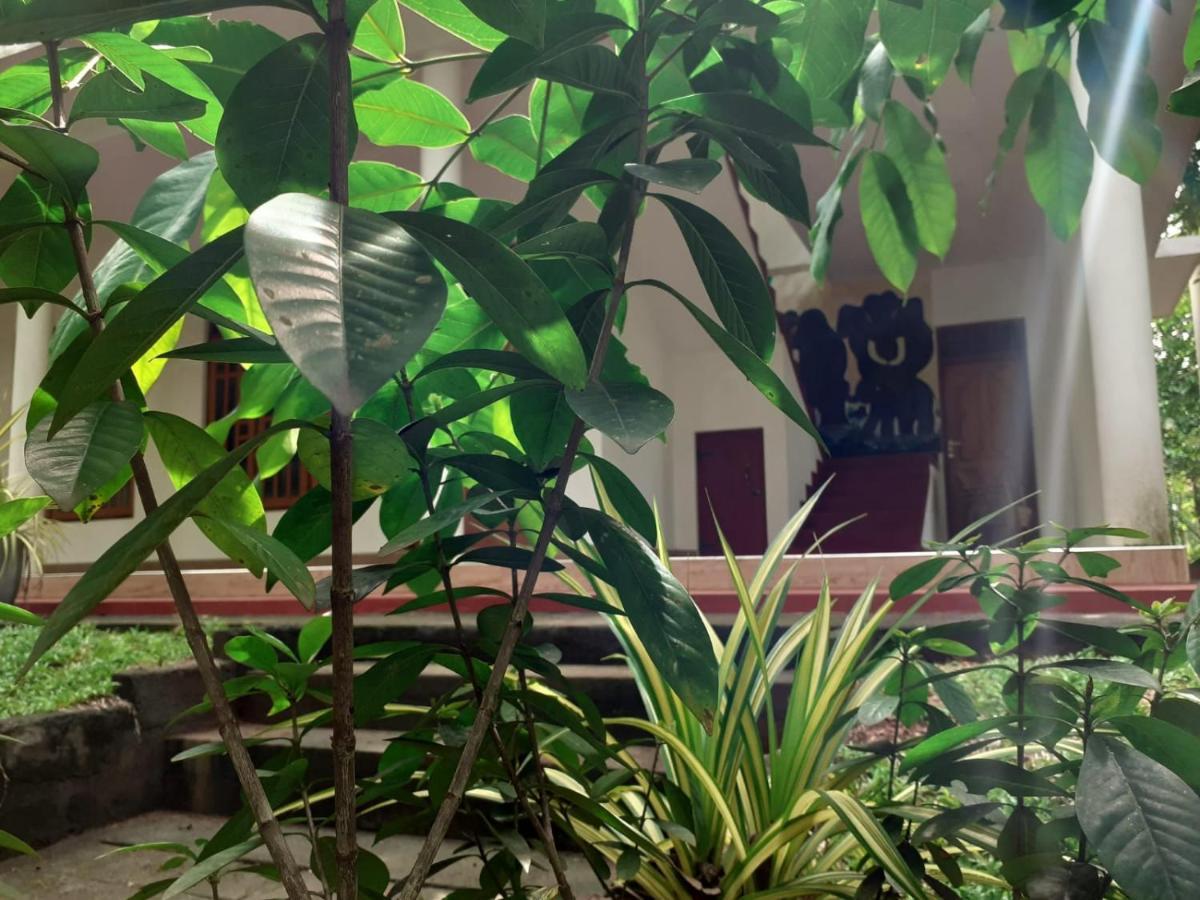 Yonara Green Rest Habarana Dış mekan fotoğraf