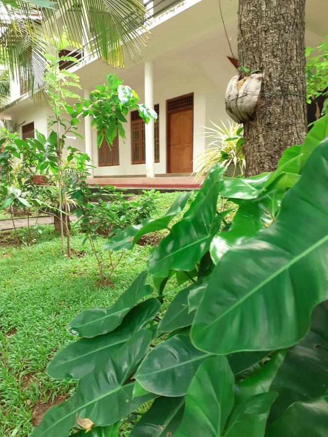 Yonara Green Rest Habarana Dış mekan fotoğraf